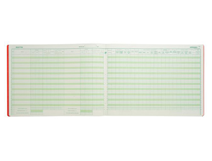 REGISTRE PIQUÉ EXACOMPTA PROFESSIONS LIBÉRALES RECETTES/DÉPENSES 270X380MM 80 PAGES