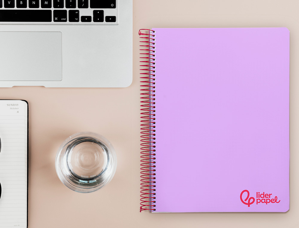 CAHIER SPIRALE LIDERPAPEL A4 MICRO WONDER 240 PAGES 90G    5X5MM 4 TROUS 5 BANDES        COULEURS VIOLET