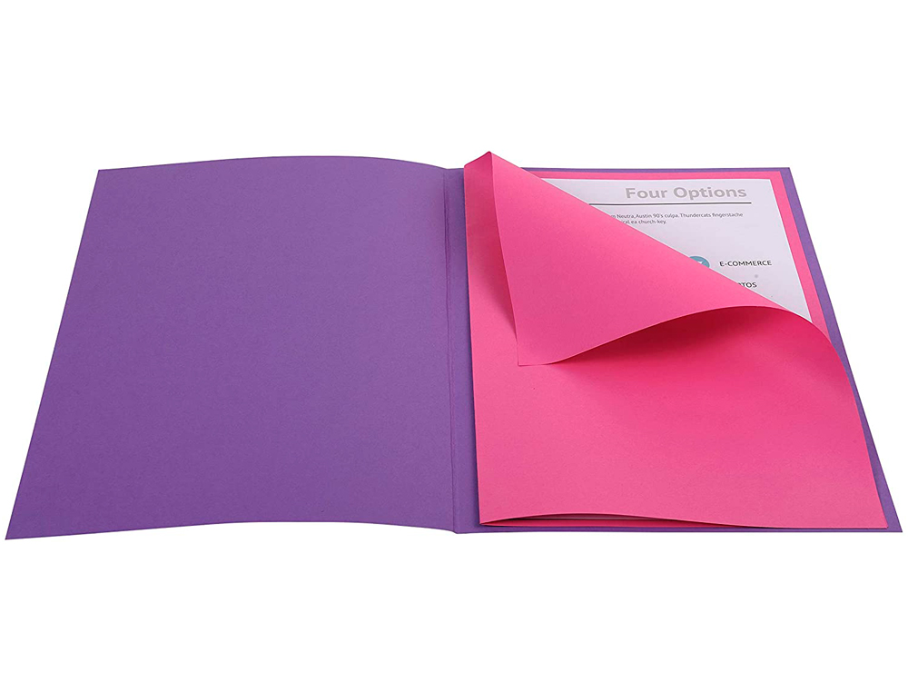 CHEMISE EXACOMPTA ROCK CARTE SOUPLE 240X320MM 210G ET 100 SOUS-CHEMISES 220X310MM 80G COLORIS ASSORTIS LOT 50+100 UNITS