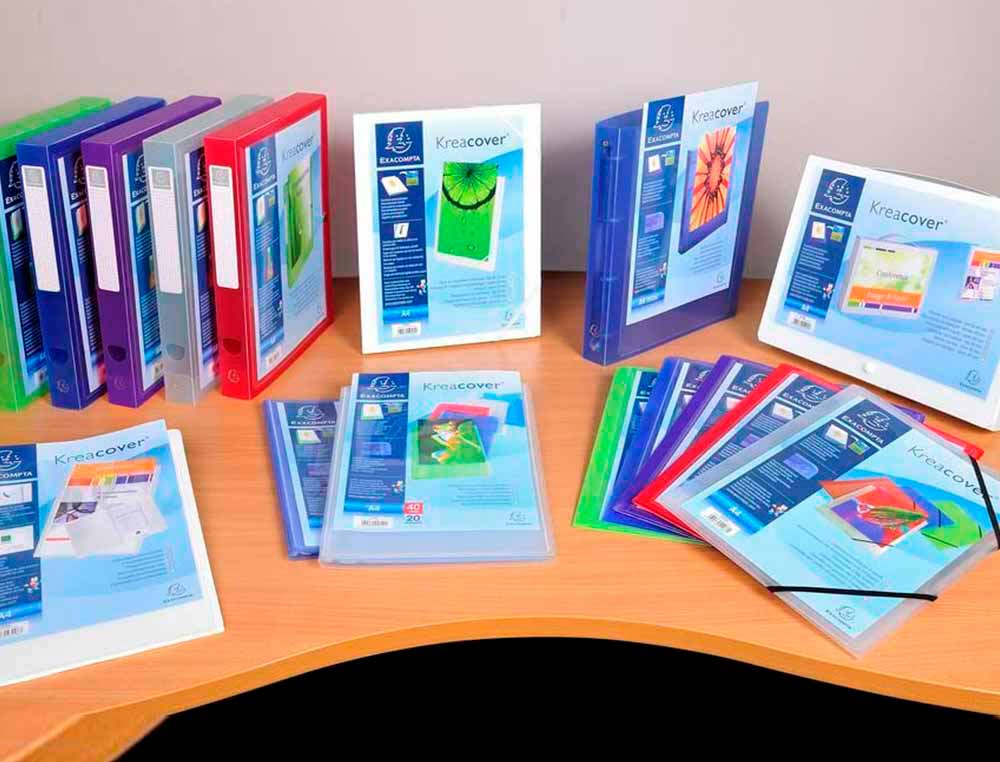 PROTEGE-DOCUMENTS PERSONNALISABLE EXACOMPTA     POLYPROPYLENE SEMI-RIGIDE     24X32CM 120 VUES COLORIS