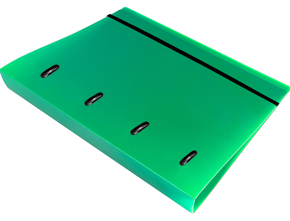 CLASSEUR LIDERPAPEL 4 ANNEAUX EN D 25MM A4 POLYPROPYLENE    FEUILLETS MOBILES 100F 5X5MM  COLORIS VERT TRANSLUCIDE