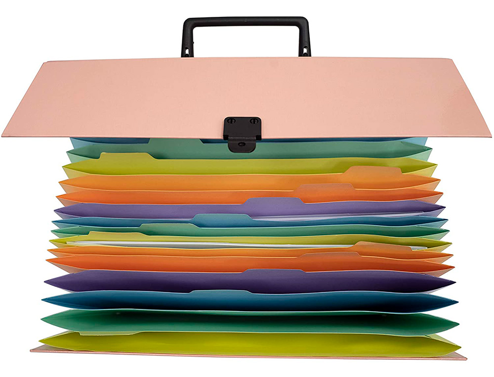 TRIEUR EXACOMPTA FAMILIAL A POIGNEE AQUAREL ASSORTIE 18   COMPARTIMENTS