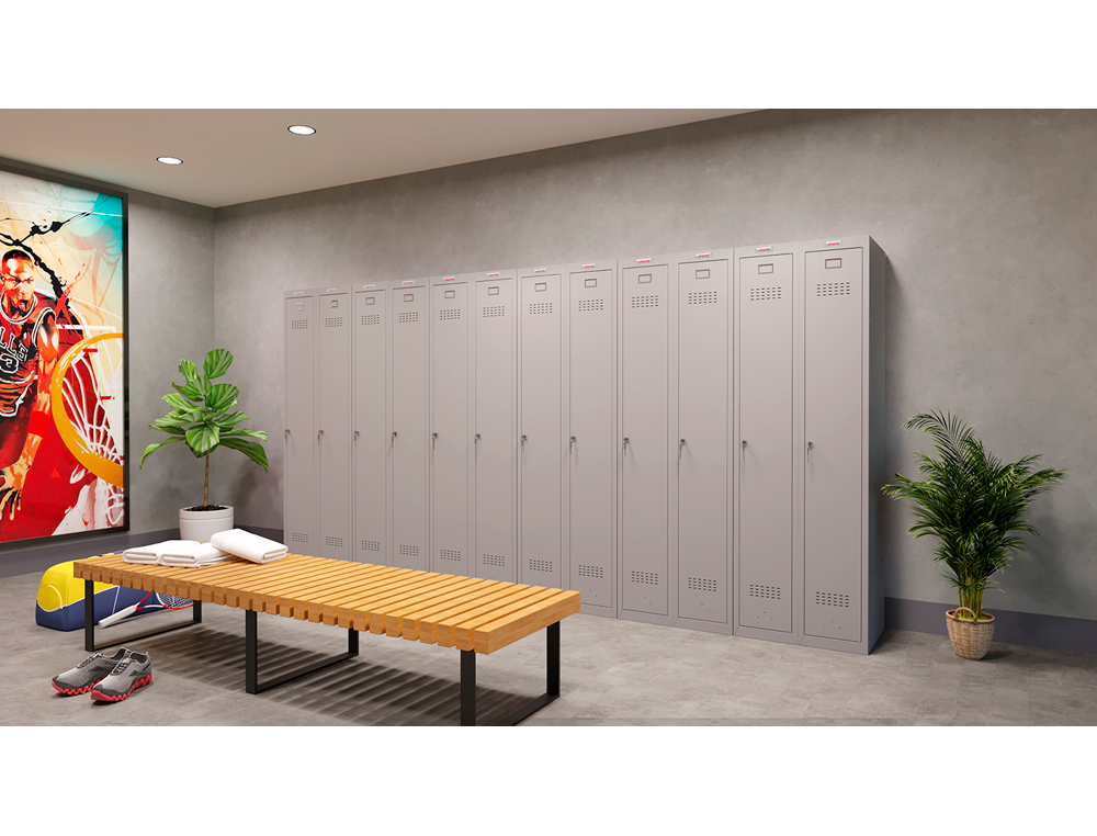 MODULE COMPLEMENTAIRE PHOENIX CASIER PERSONNEL PL1130GGK    COLORIS GRIS
