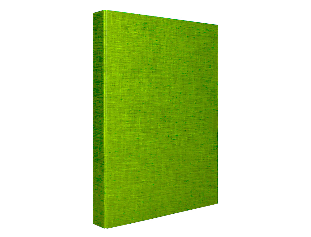 CLASSEUR LIDERPAPEL 4 ANNEAUX RONDS 25MM A4+ CARTON REMBORD PAPER COAT COLORIS VERT CLAIR