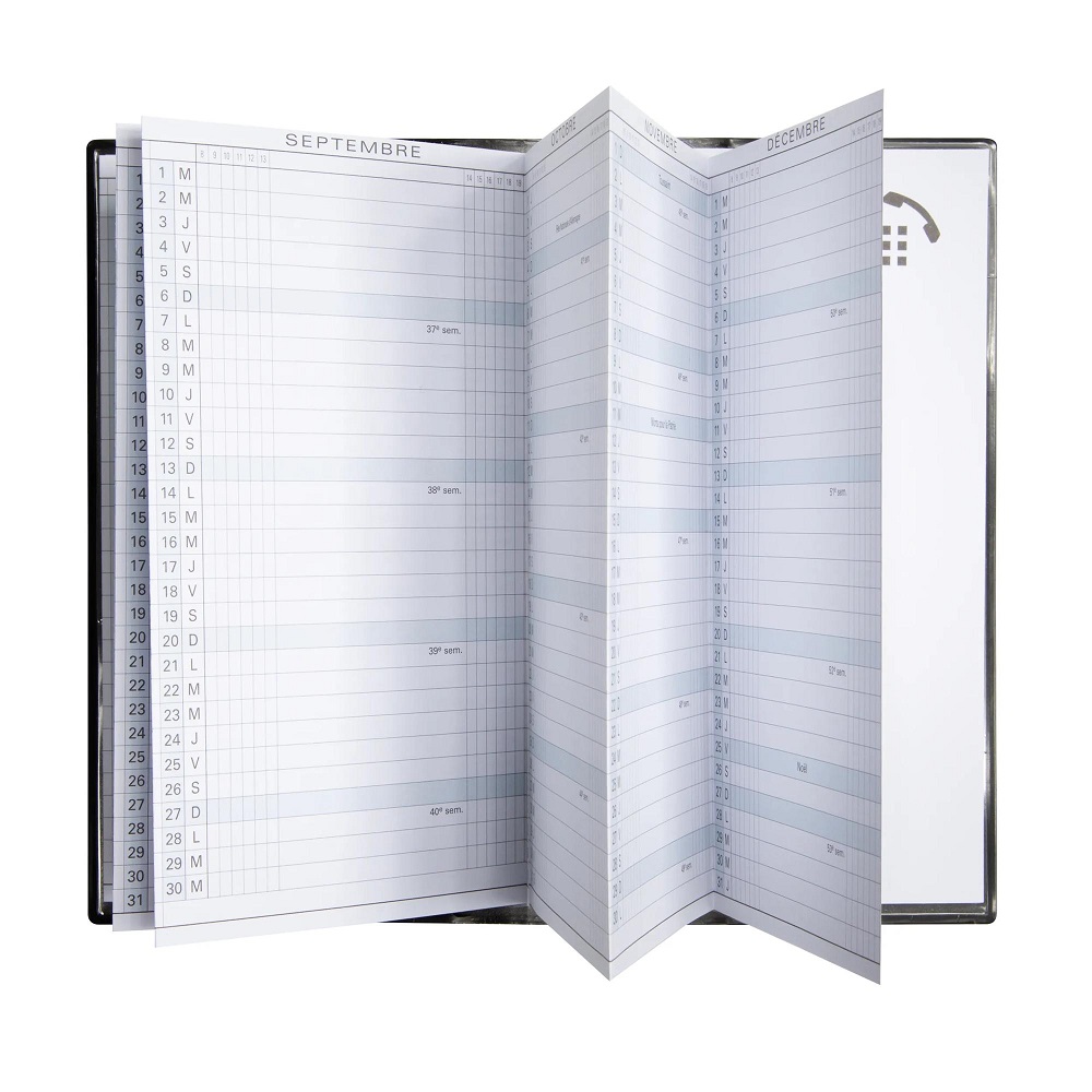 AGENDA EXACOMPTA PLANNING EXAPLAN 16 WINNER PLIAGE EN ACCORDÉON 90X160MM COLORIS ASSORTIS