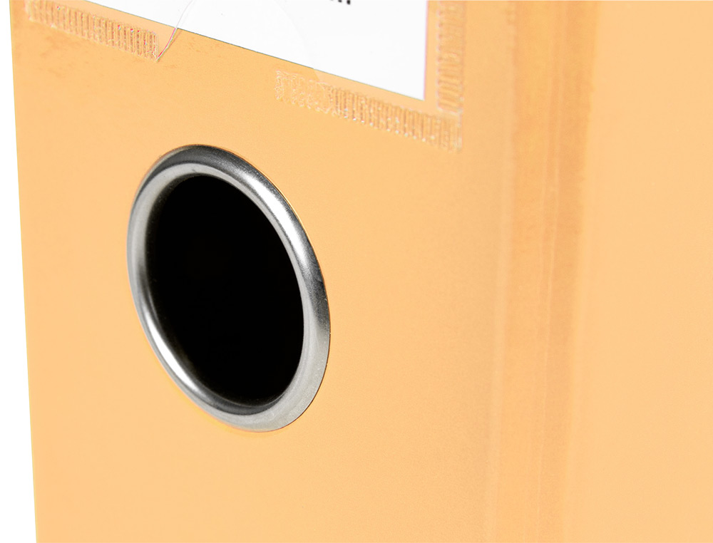 CLASSEUR A LEVIER LIDERPAPEL A4 COLOR SYSTEM DOS DE 80 MM  COLORIS PECHE
