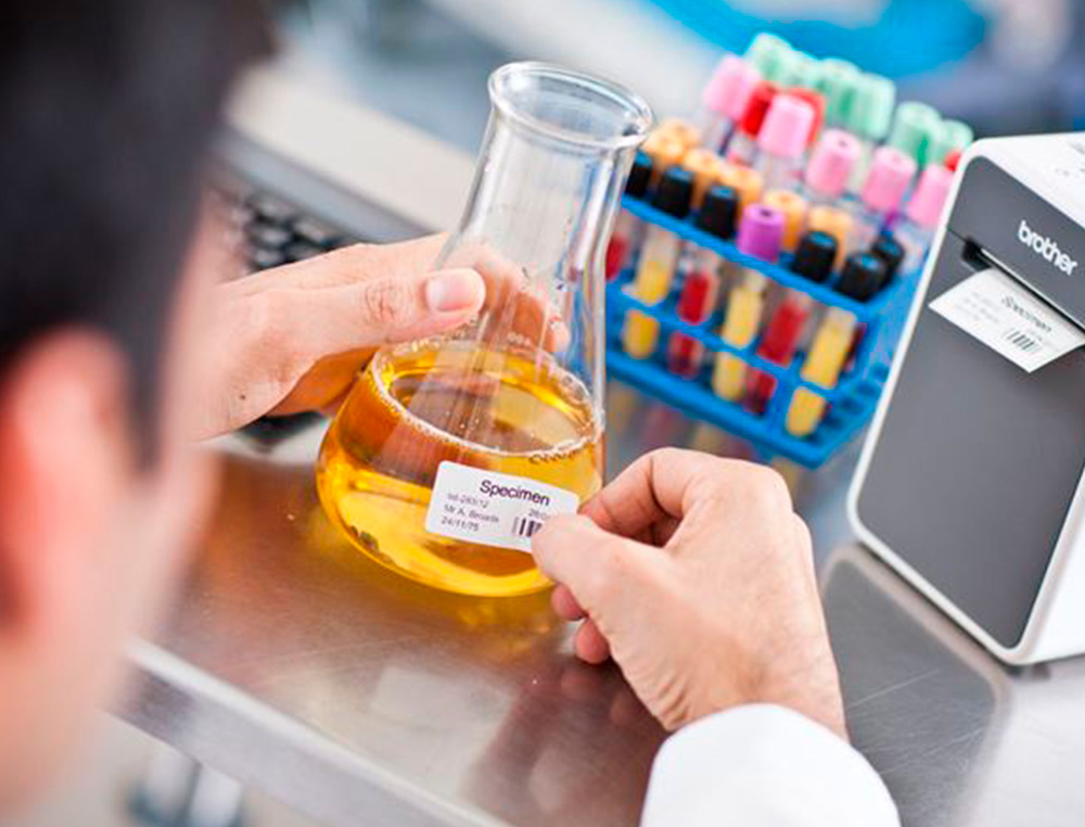 ÉTIQUETTE ADHÉSIVE Q-CONNECT 27,5X51MM COMPATIBLE DYMO 11355 DÉTACHABLE BOÎTE 500 UNITÉS