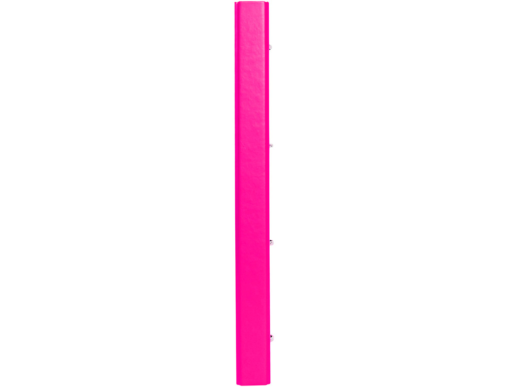 CLASSEUR ANTARTIK 4 ANNEAUX RONDS 25MM A4 CARTON REMBORDÉ FEUILLETS MOBILES QUADRILLAGE 5MM COLORIS ROSE