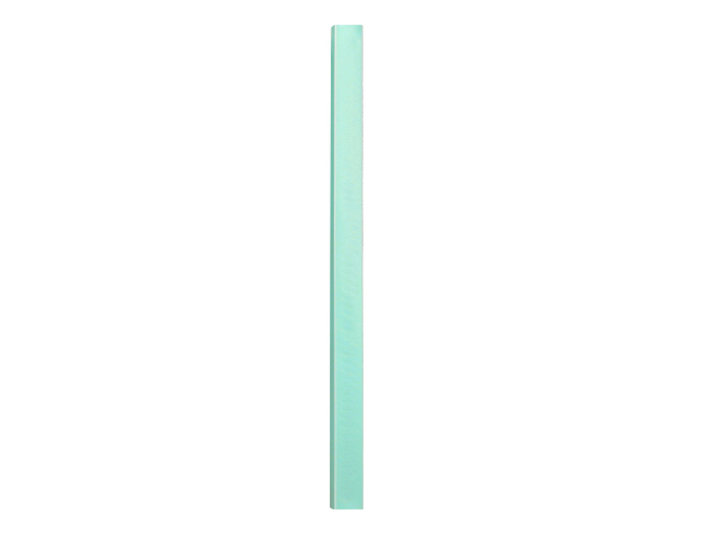 PROTEGE-DOCUMENTS LIDERPAPEL POLYPROPYLENE COUVERTURE      FLEXIBLE 30 POCHETTES FIXES   A4 220X297MM VERT POMME