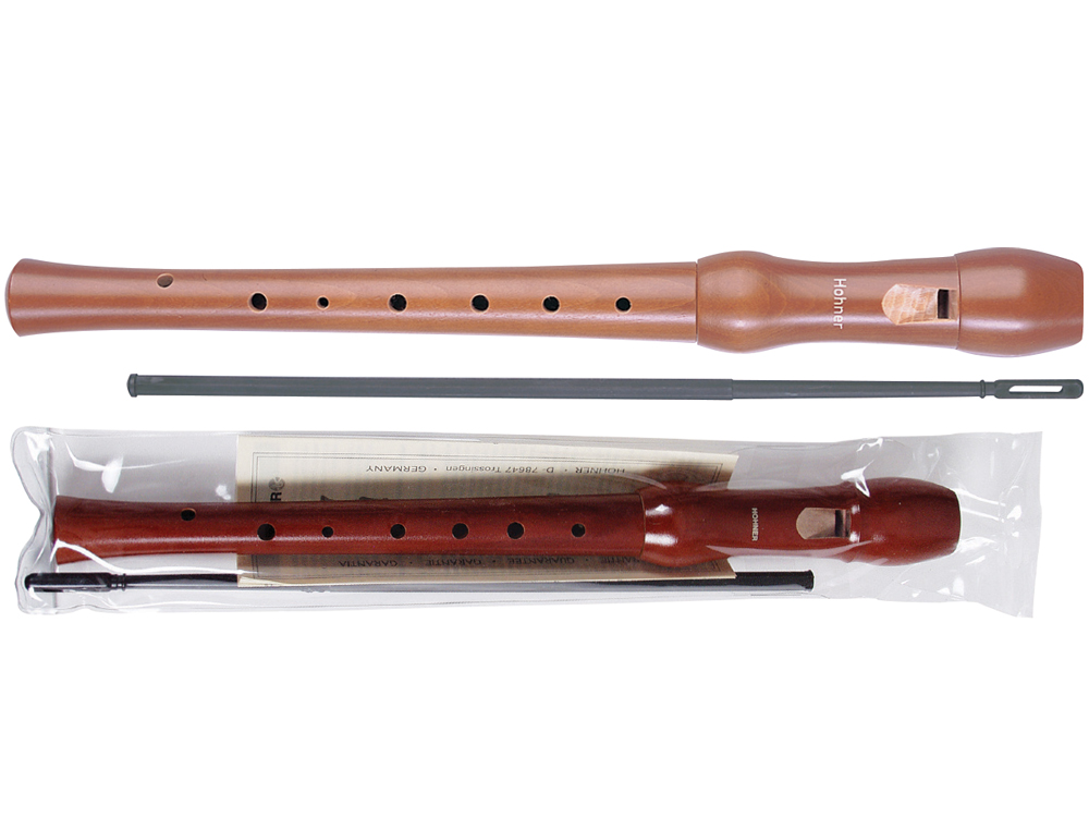 FLÛTE À BEC HOHNER EN BOIS 9555 2 PIÈCES HOUSSE TRANSPARENTE