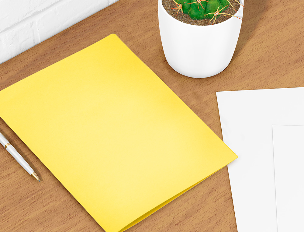 SOUS-CHEMISE LIDERPAPEL PAPIER CARTONN 180G 310X230MM DOCUMENT A4 210X297MM COLORIS PASTEL JAUNE INTENSE
