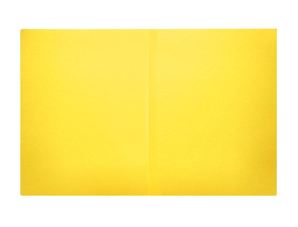 SOUS-CHEMISE LIDERPAPEL PAPIER CARTONN 180G 310X230MM DOCUMENT A4 210X297MM COLORIS PASTEL JAUNE INTENSE