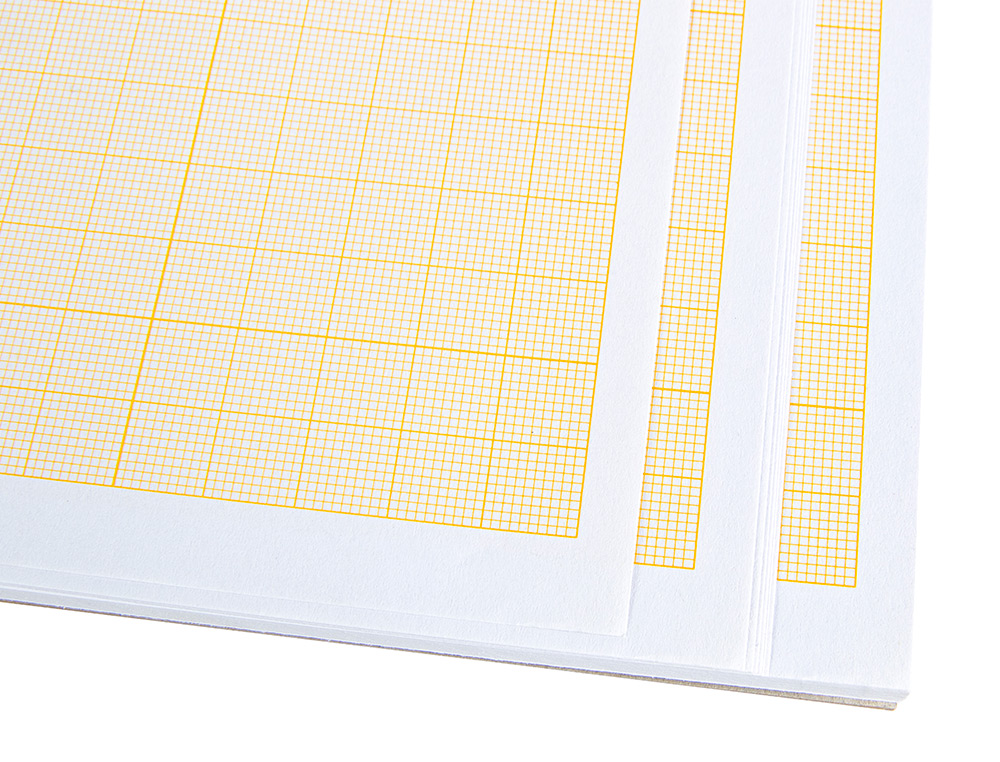 PAPIER MILLIMÉTRÉ LIDERPAPEL 1MM 80G/M2 FEUILLE A4 210X297MM MINIPACK 10F