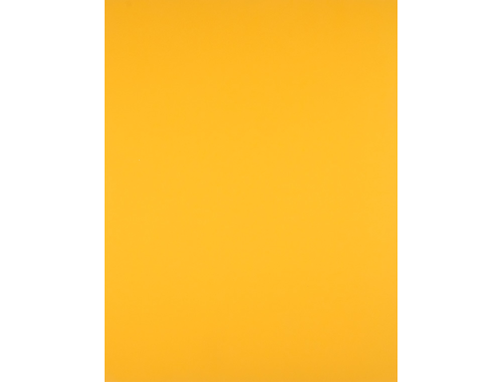 PAPIER CARTONNE LIDERPAPEL 50X65CM 240GR COLORIS VIEIL   OR PAQUET 25 FEUILLES