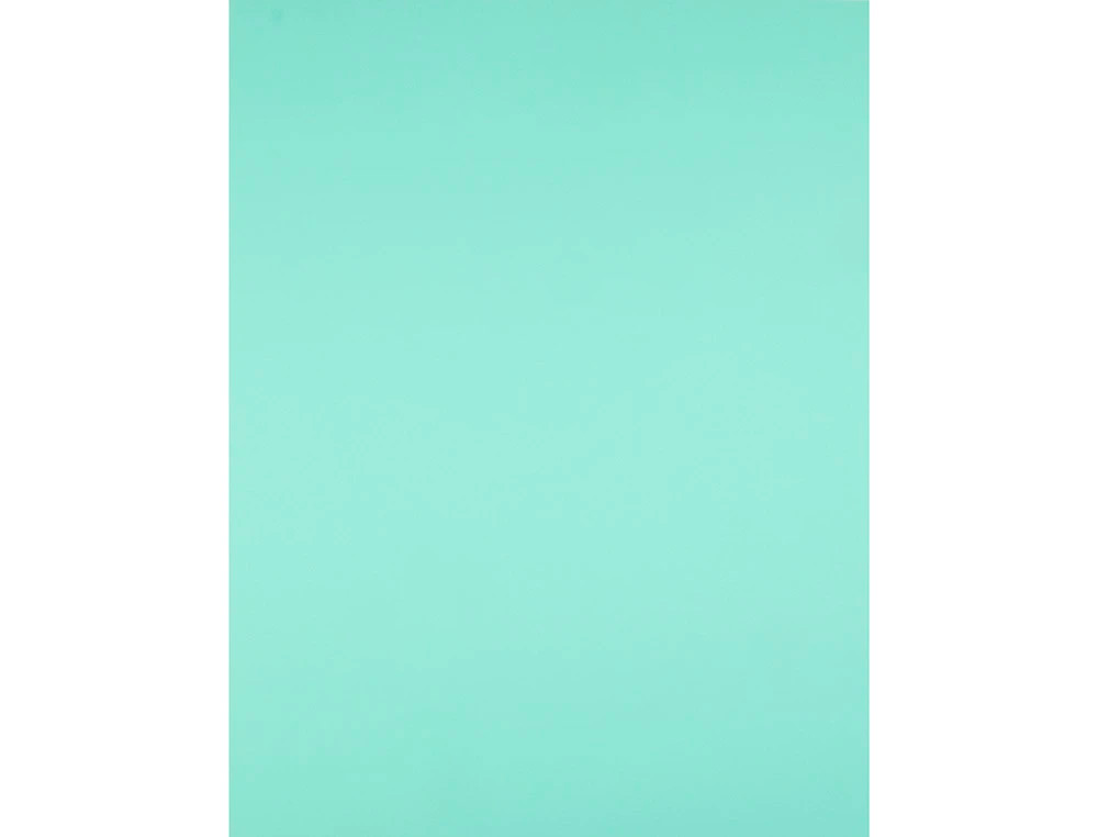 PAPIER CARTONNE LIDERPAPEL 50X65CM 240GR COLORIS VERT    PAQUET 25 FEUILLES