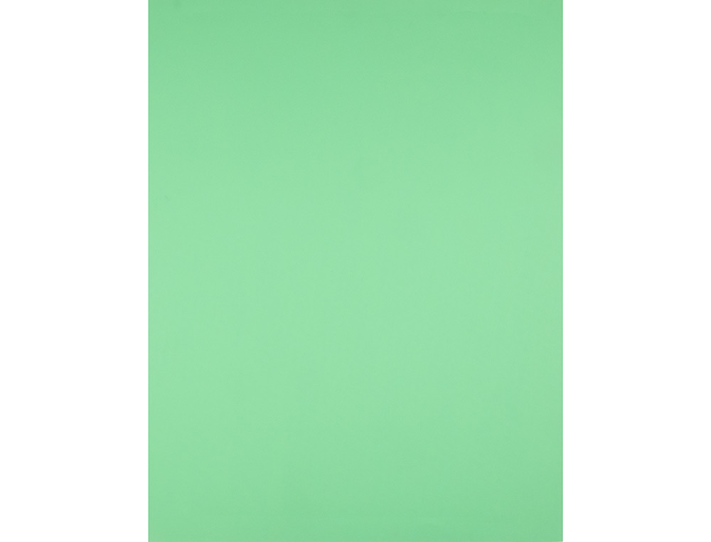PAPIER CARTONNE LIDERPAPEL 50X65CM 180GR COLORIS VERT    HERBE PAQUET 25 FEUILLES