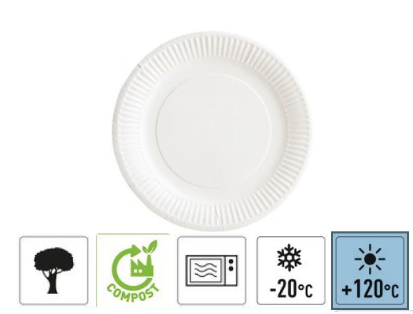 ASSIETTE CARTON D22CM BLANCHE X50